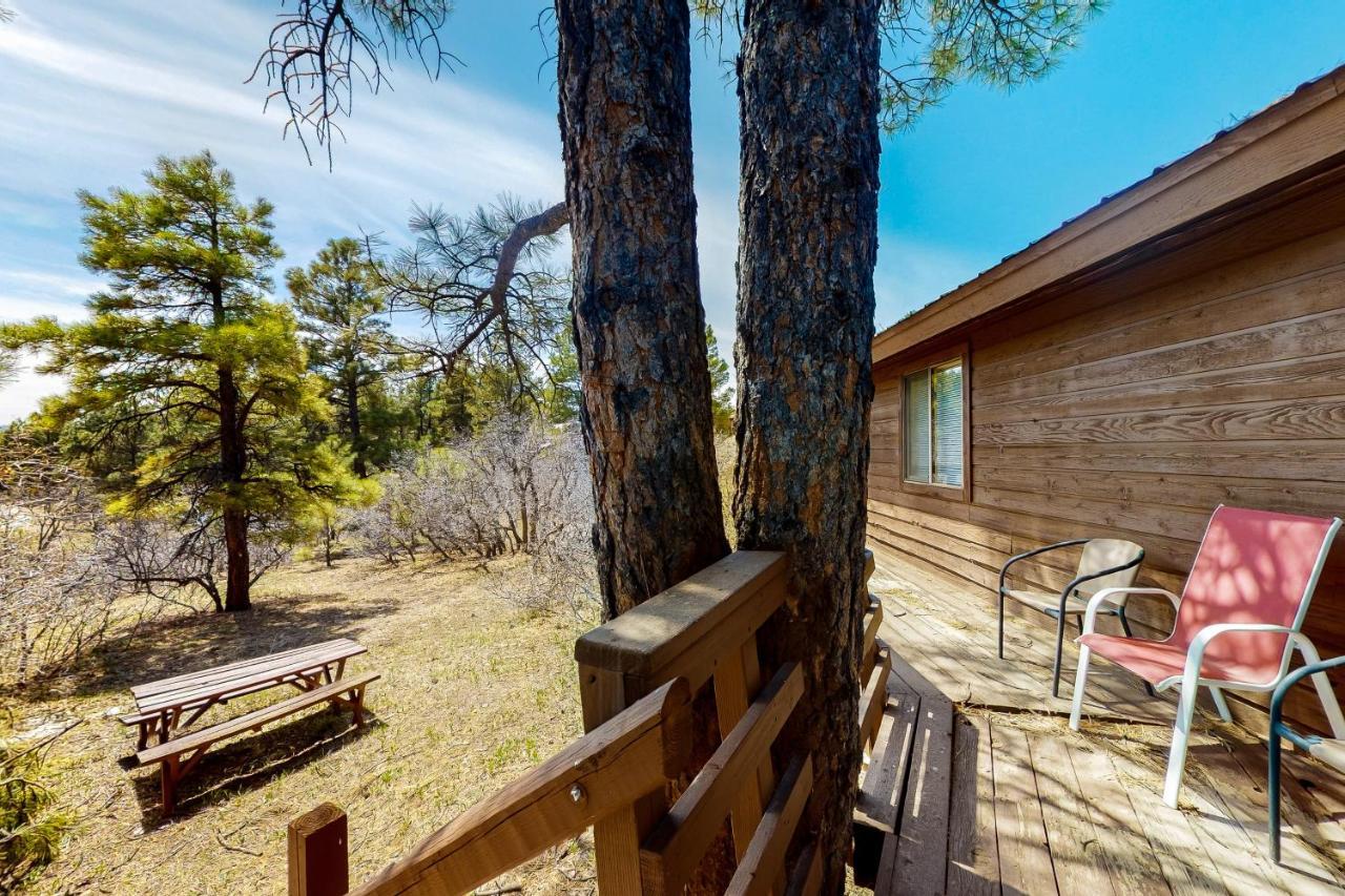 Self-Reflection Vila Pagosa Springs Exterior foto